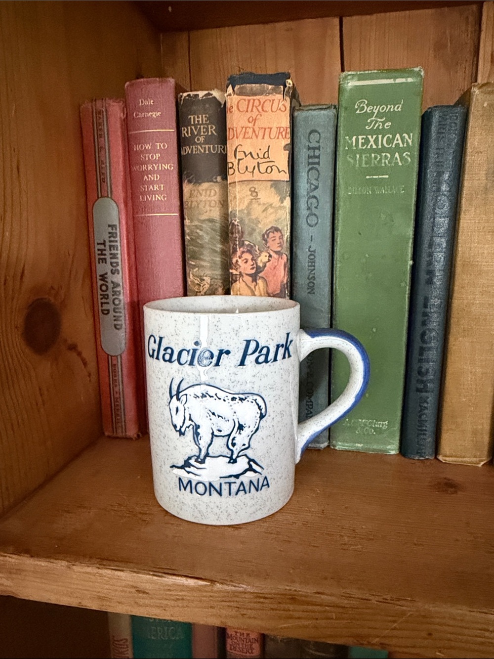 VINTAGE Glacier National Park Montana Speckled Ceramic Mug